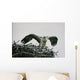 Wild Kestrel Wall Mural