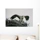 Wild Kestrel Wall Mural
