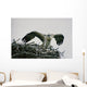 Wild Kestrel Wall Mural