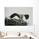 Wild Kestrel Wall Mural