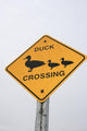 Verkehrsschild Duck Crossing USA Wall Mural