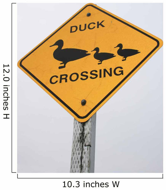 Verkehrsschild Duck Crossing USA Wall Mural