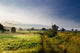 Beautiful Morning Wall Decal