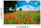 Summer Poppy Field Wall Mural