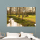 Pony Grazing in Rural Setting Wall Mural