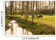 Pony Grazing in Rural Setting Wall Mural