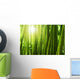 Bamboo forest. Wall Mural