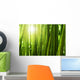 Bamboo forest. Wall Mural
