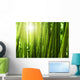 Bamboo forest. Wall Mural