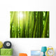 Bamboo forest. Wall Mural