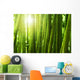 Bamboo forest. Wall Mural