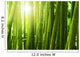 Bamboo forest. Wall Mural