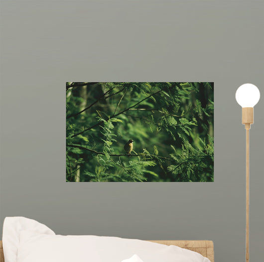 Yellow Forest Bird Madagasgar Wall Mural