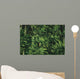 Yellow Forest Bird Madagasgar Wall Mural