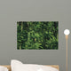 Yellow Forest Bird Madagasgar Wall Mural