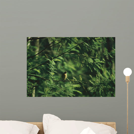 Yellow Forest Bird Madagasgar Wall Mural