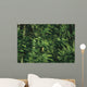 Yellow Forest Bird Madagasgar Wall Mural