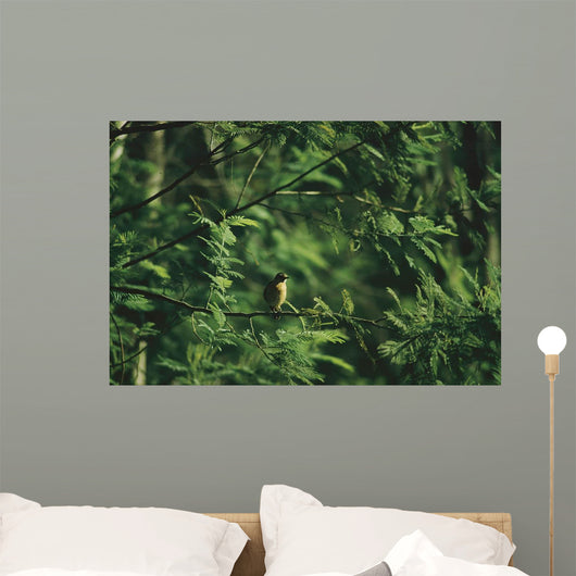 Yellow Forest Bird Madagasgar Wall Mural