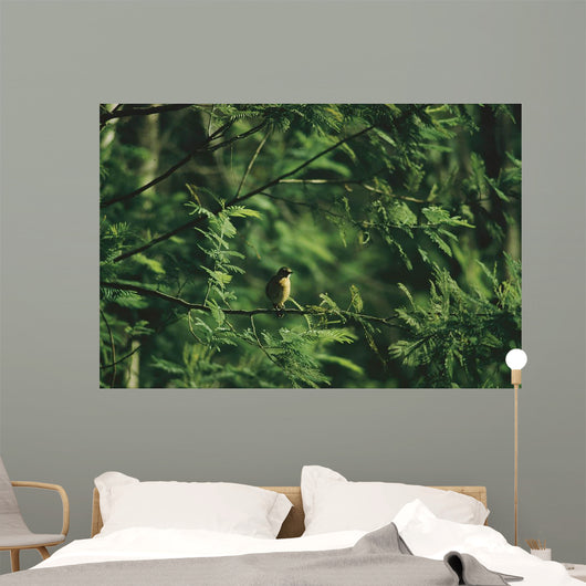 Yellow Forest Bird Madagasgar Wall Mural