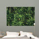 Yellow Forest Bird Madagasgar Wall Mural