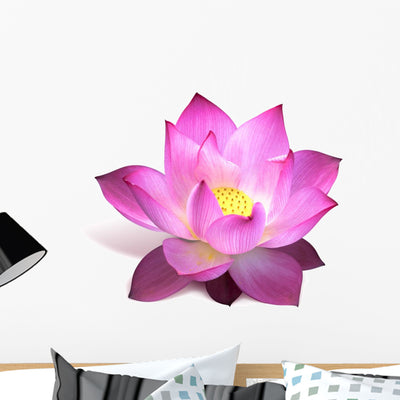 Magenta Lotus Flower Wall Decal shown on a wall