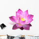 Magenta Lotus Flower Wall Decal