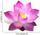 Magenta Lotus Flower Wall Decal