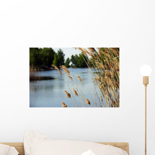 Schilf Wall Decal