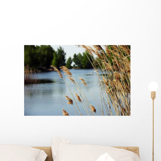 Schilf Wall Decal