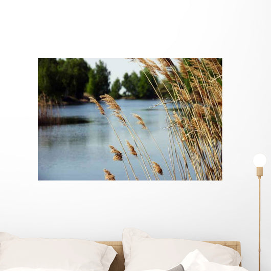 Schilf Wall Decal