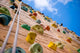 rock climbing Wall Mural