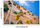 rock climbing Wall Mural