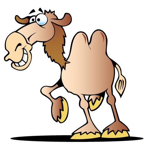 Cartoon Camel Wall Decal