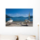 Cygnes Et Lac Wall Decal