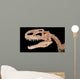 Tyrannosaurus Skull Wall Decal Wall Decal