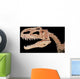 Restaurated Bones Wall Mural