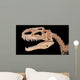 Tyrannosaurus Skull Wall Decal Wall Decal