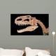 Tyrannosaurus Skull Wall Decal Wall Decal