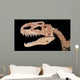 Tyrannosaurus Skull Wall Decal Wall Decal