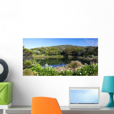 Piton Water National Park Wall Decal shown on a wall