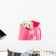 Ferret as a gift Wall Mural