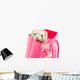 Ferret as a gift Wall Mural
