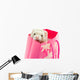 Ferret as a gift Wall Mural