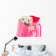 Ferret as a gift Wall Mural