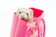 Ferret as a gift Wall Mural