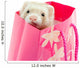 Ferret as a gift Wall Mural