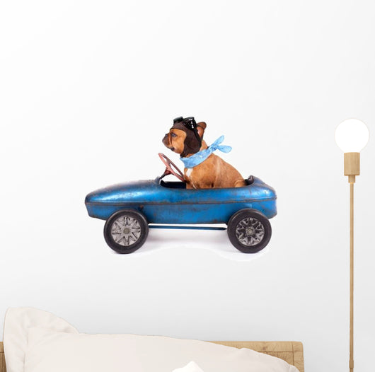 Hund Mit Rennfahrer Kappe Wall Decal