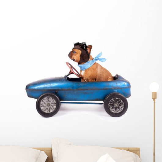 Hund Mit Rennfahrer Kappe Wall Decal