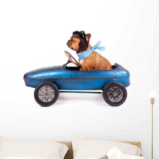 Hund Mit Rennfahrer Kappe Wall Decal