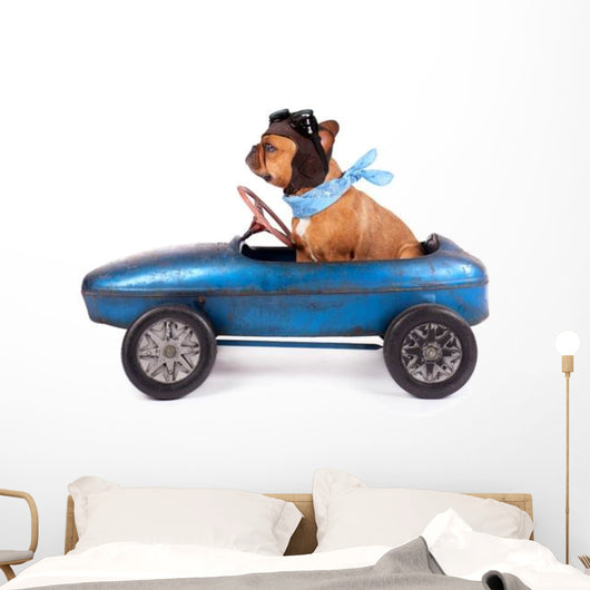 Hund Mit Rennfahrer Kappe Wall Decal